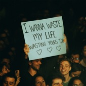 Waste My Life artwork