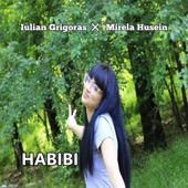 Habibi (feat. Mirela Husein) artwork