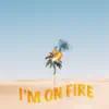 I'm on Fire - Single album lyrics, reviews, download