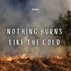 Nothing Burns Like the Cold artwork