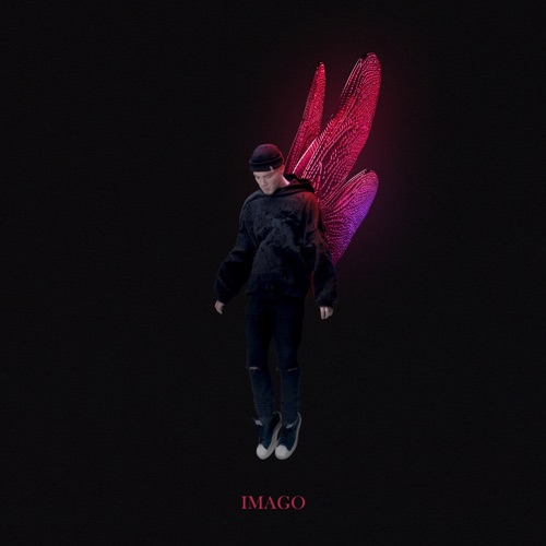 cover for track Imago of artist КУОК