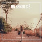 Un Senso C'è artwork