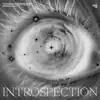 Stream & download Introspection - Single