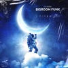 Bigroom Funk - Single