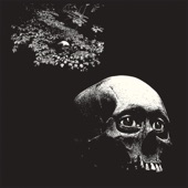 Thee Oh Sees - A Burden Snared