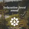 Relaxation Forest Sound album lyrics, reviews, download