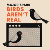 Major Spark - Birds Aren’t Real