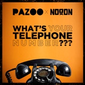 What's Your Telephone Number??? artwork