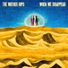 When We Disappear (feat. Tim Bluhm & Greg Loiacono) - Single
