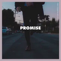 Promise - Single by No Love For The Middle Child album reviews, ratings, credits