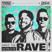 Make the World Rave Again artwork