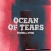Ocean Of Tears - Single, 2022