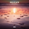 Delicate - Single