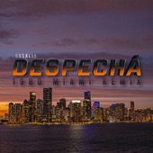 Despechá (1980 Miami Remix) artwork