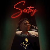 SexToy artwork