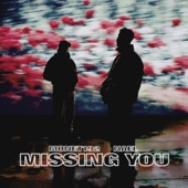 Missing You (feat. Nael) artwork