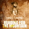Heading for the Mountain - Single