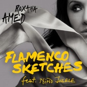 Roxana Amed - Flamenco Sketches