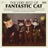 The Very Best of Fantastic Cat (feat. Anthony D'Amato, Don DiLego, Brian Dunne & Mike Montali) album lyrics, reviews, download
