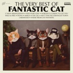 Fantastic Cat - The Gig (feat. Anthony D'Amato, Don DiLego, Brian Dunne & Mike Montali)
