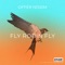 Fly Robin Fly artwork