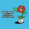 Stream & download First Light of the Morning - Single