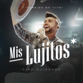 Mis Lujitos (Live) artwork