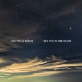 See You in the Stars artwork