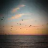 Bird Singing Sound for Meditation - Single album lyrics, reviews, download