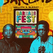 Barcadi Fest artwork