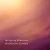 Springtime Afternoons - Single album lyrics, reviews, download