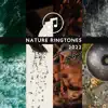 Nature Ringtones 2022: Hang Drum & Ocean Waves & Rain Sounds & Thunderstorm & Forest & Stream & Birds album lyrics, reviews, download