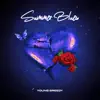 Summer Blues album lyrics, reviews, download