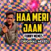 Haa Meri Jaan Funny Memes (Original Mixed) song lyrics