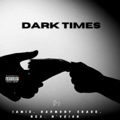 Dark Times artwork