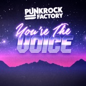 You're the Voice artwork