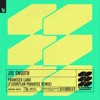 Promised Land (Floorplan Paradise Remix) - Single