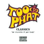 The Collection Of Phat Tracks artwork