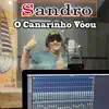 O Canarinho Voou - Single album lyrics, reviews, download