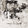 Lily - Single
