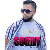 Sorry artwork