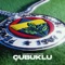 Çubuklu artwork