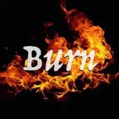 Burn (feat. Rustage) - Single by Divide Music album reviews, ratings, credits