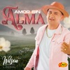 Amor Sin Alma - Single