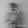 Never Known a Love - Single