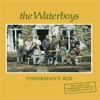 The Waterboys - When Ye Go Away (2013 Remaster)