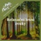 Relaxační lesní zvuky - International New Age lyrics