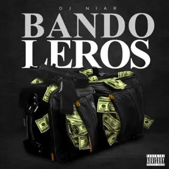 Bandoleros - Single by DJ Niar album reviews, ratings, credits