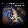 Violent Public Disorderaz - Ninjas