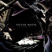 Silver Moth - Henry